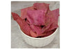 ROASTED BEETROOT CHIPS