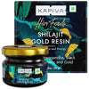 Kapiva Shilajit Gold Resin - 20 gm